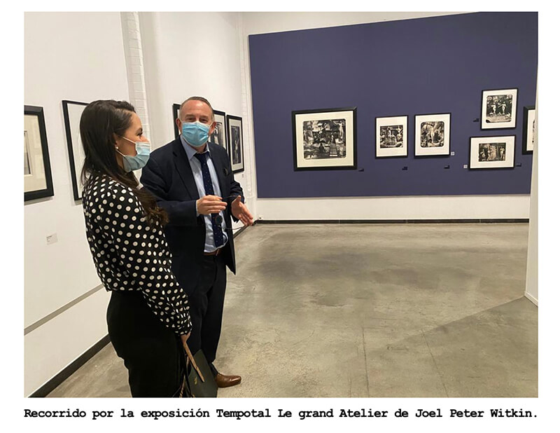 centro-arte-contemporaneo-belgica